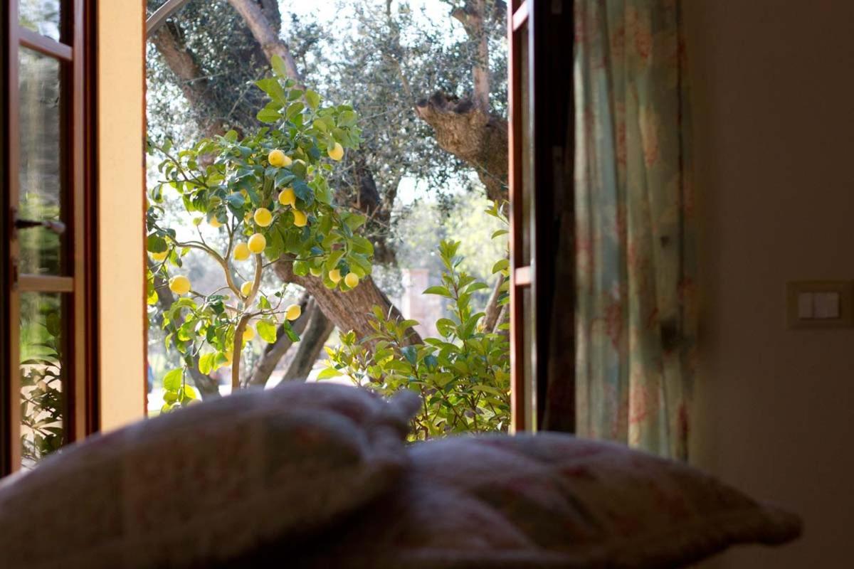 ונטורינה טרמה Il Bottaccio Casa Di Campagna מראה חיצוני תמונה
