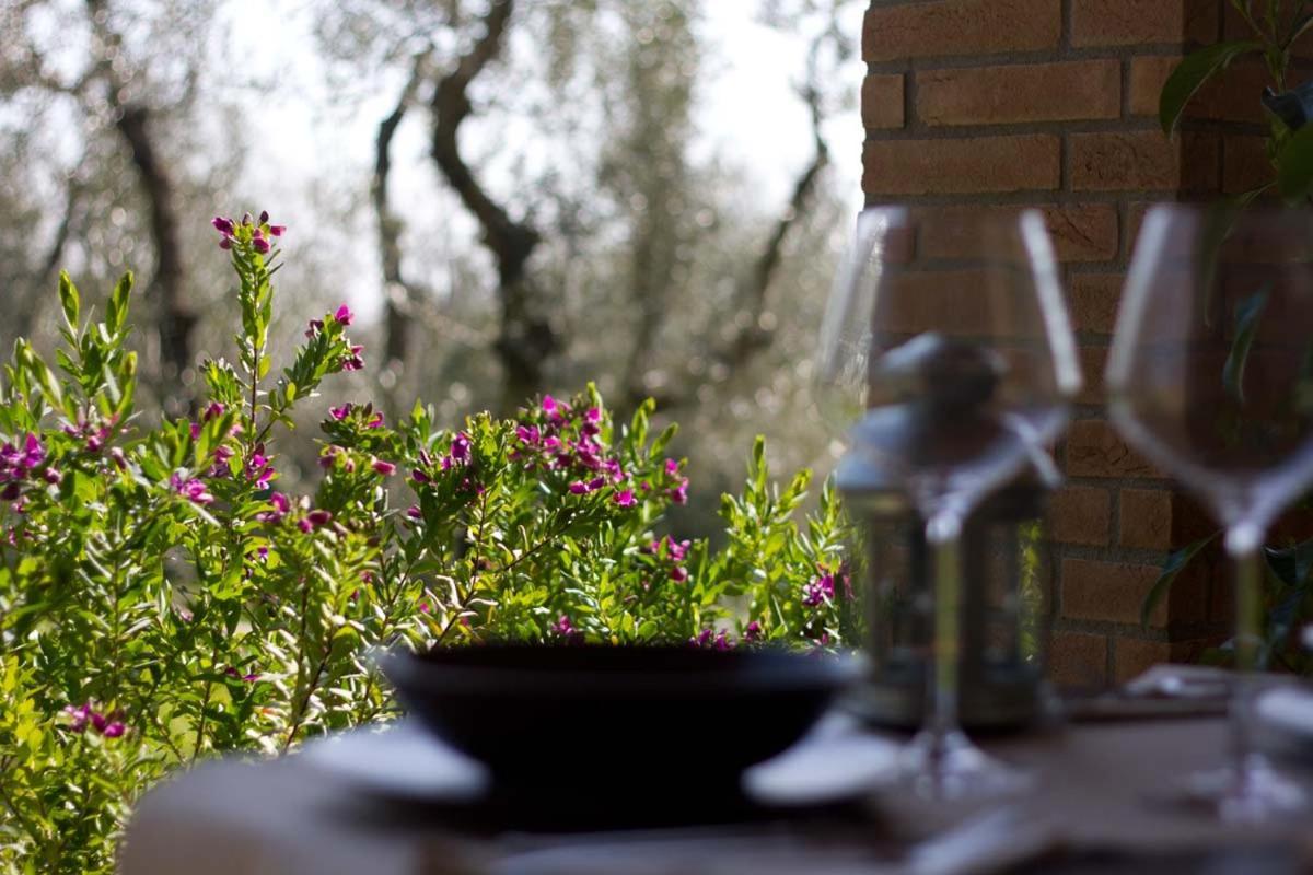 ונטורינה טרמה Il Bottaccio Casa Di Campagna מראה חיצוני תמונה