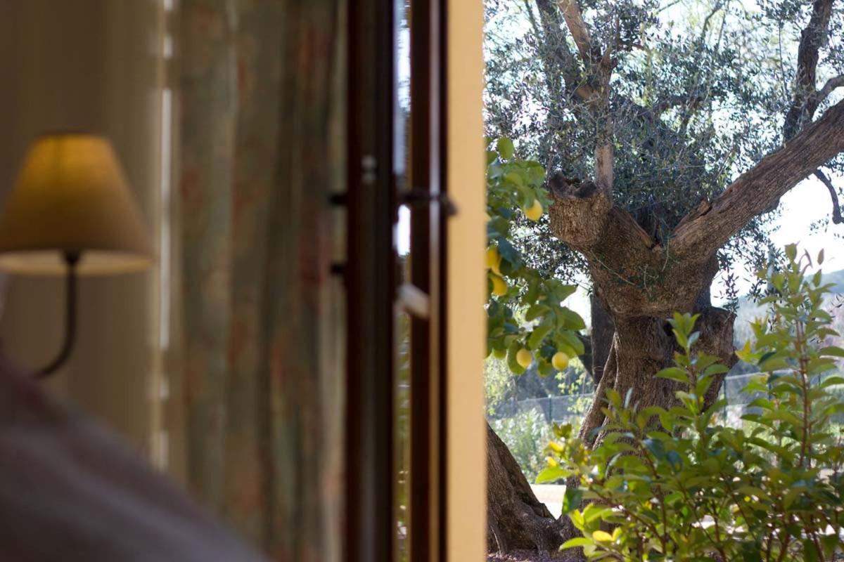 ונטורינה טרמה Il Bottaccio Casa Di Campagna מראה חיצוני תמונה