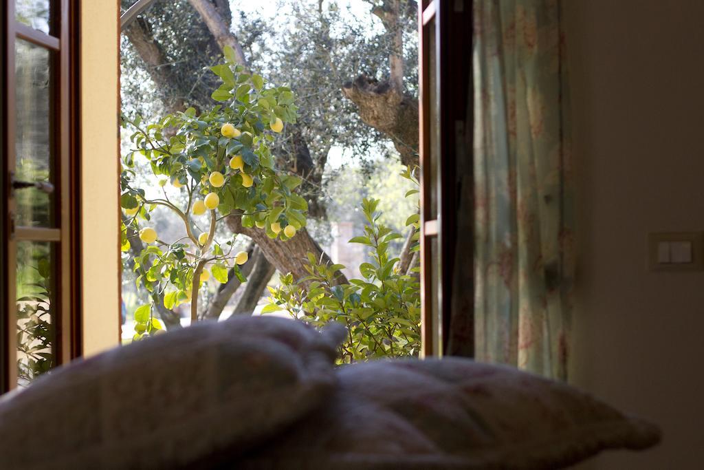 ונטורינה טרמה Il Bottaccio Casa Di Campagna חדר תמונה